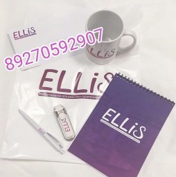 Строительная компания Ellis