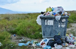 Акции по раздельному сбору мусора в Саратове разрешены