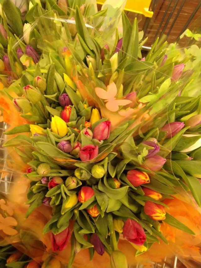 Ярмарки цветов будут открыты во всех районах Саратова